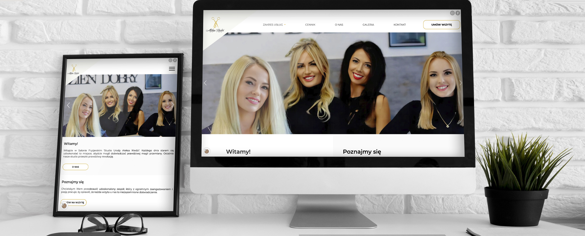 Website created by Aleks Niedzi
