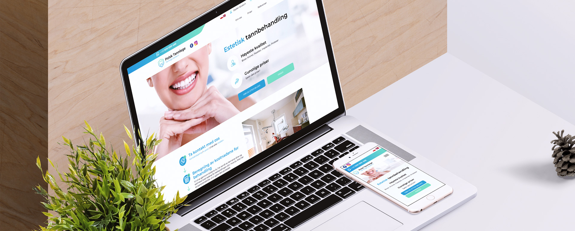 Polsk Tannlege mockup realizacji
